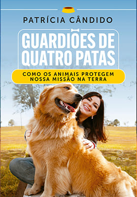 capa_livros15